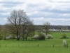 Daar is de lente, daar is de zon. Bijna, maar ik denk dat ze weldra zal komen. De fallus impudicus staat al in bloei, En de blaadjes krijgen bomen. Jan De Wilde