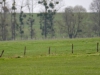 De ooievaar is terug in Le Chemin