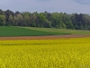 de landbouw draagt zorg voor het landschap: glyfosfaat bruin zorgt voor een extra tint