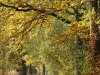 herfstkleuren