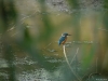 DSC03596-2