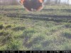 P00[878:878] TT[2571] E[184:0024]G[000:0x00] BV[151:0] IR[M:F:60] MOE[0:3]